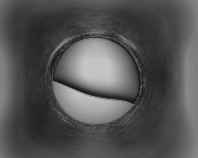X0000085041400200703051016