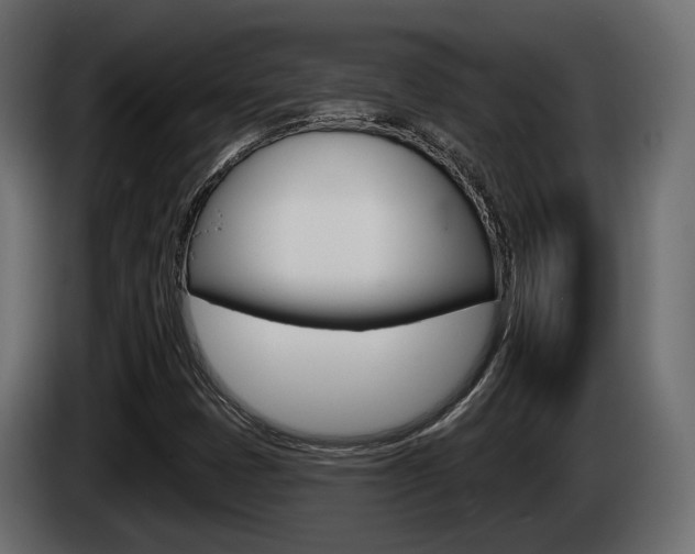 X0000085041401200703051016