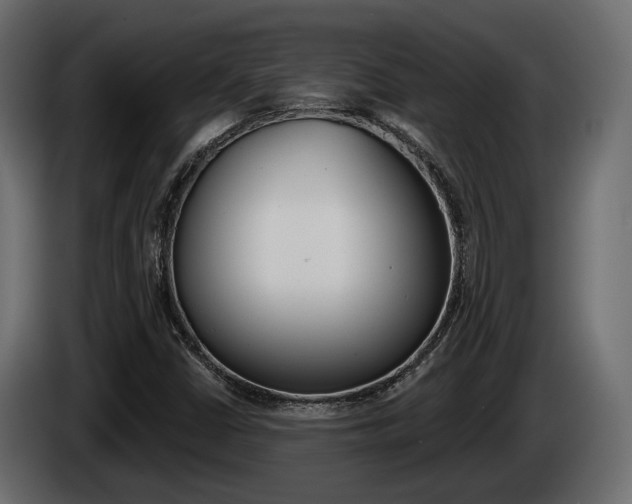 X0000085041402200703051016