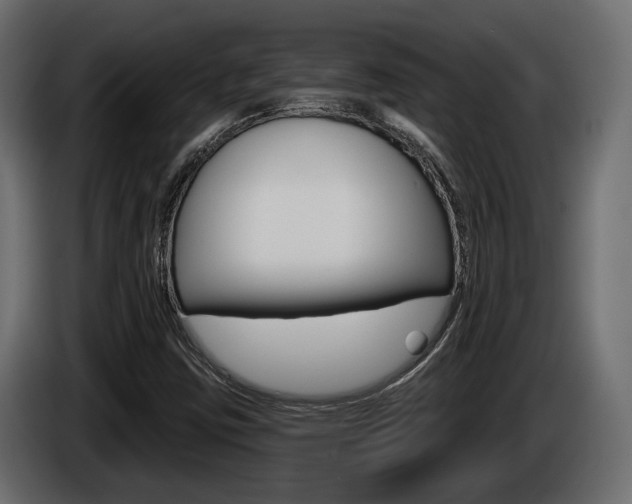 X0000085041403200703051016