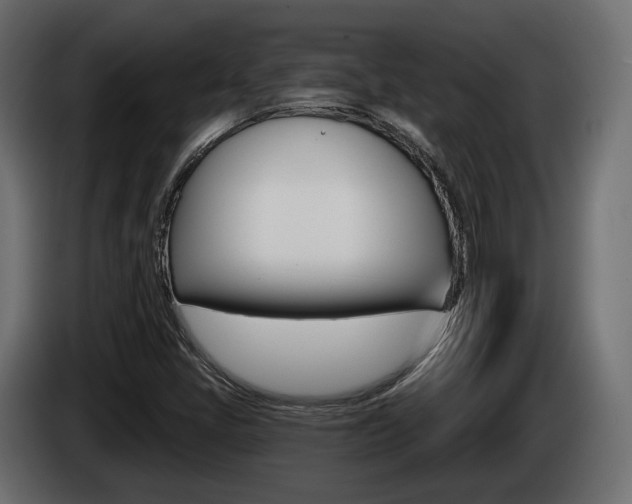X0000085041405200703051016