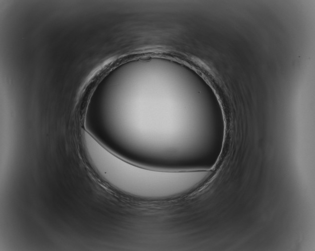 X0000085041406200703051016