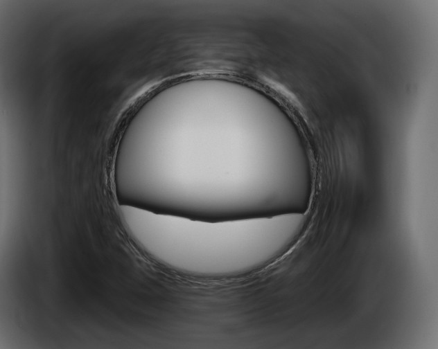 X0000085041407200703051016