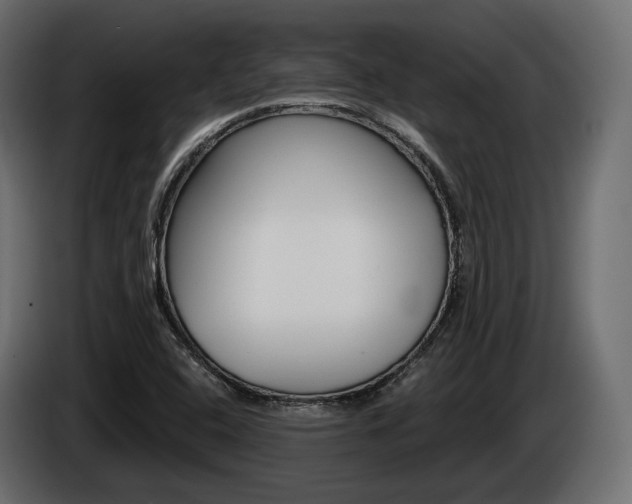 X0000085041408200703051016