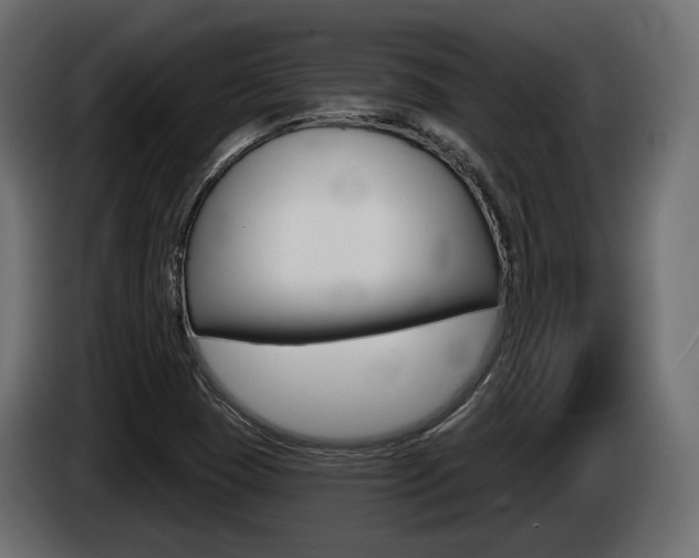 X0000085041409200703051016