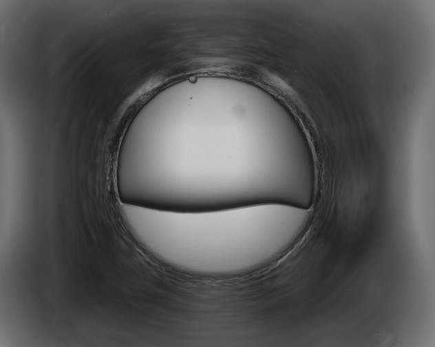 X0000085041411200703051016