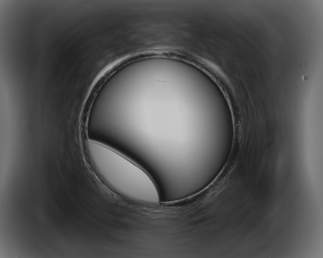X0000085041412200703051016