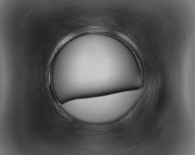 X0000085041413200703051016