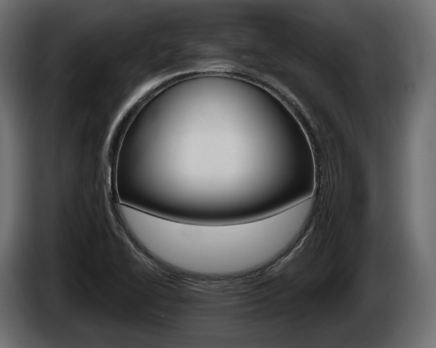 X0000085041414200703051016