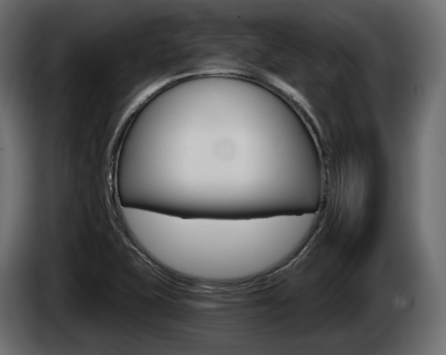 X0000085041415200703051016