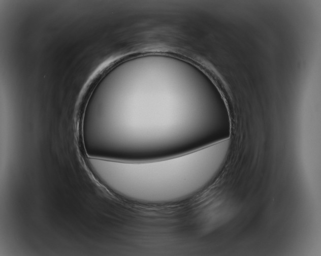X0000085041416200703051016