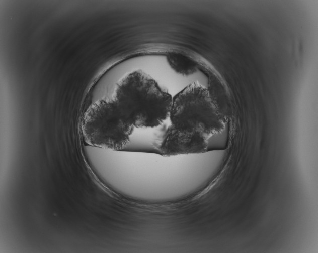 X0000085041417200703051016