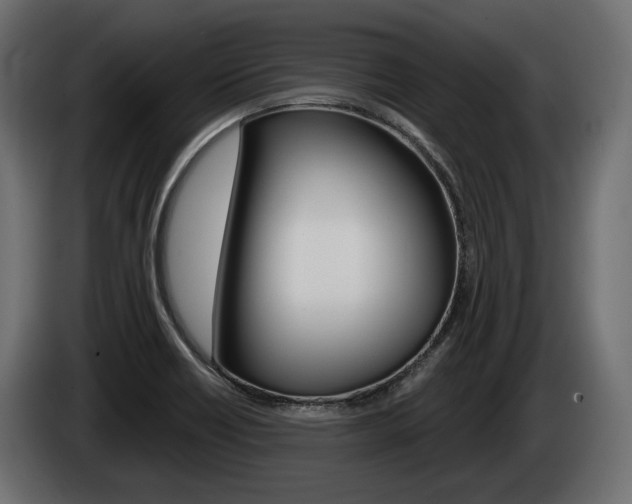 X0000085041418200703051016