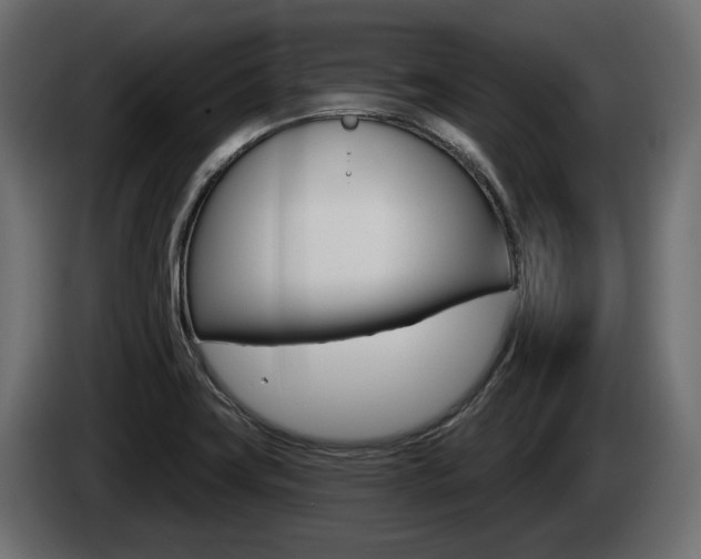 X0000085041419200703051016