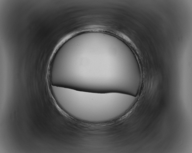 X0000085041421200703051016
