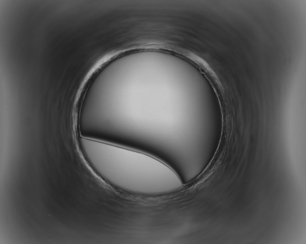 X0000085041424200703051016