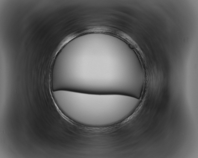 X0000085041425200703051016