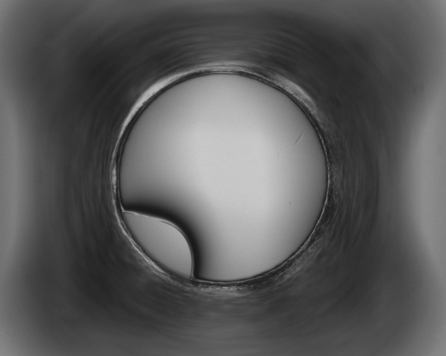 X0000085041428200703051016