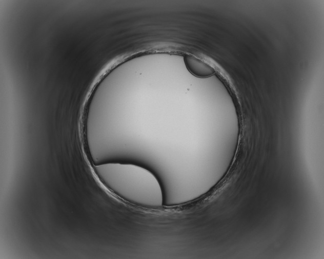 X0000085041429200703051016