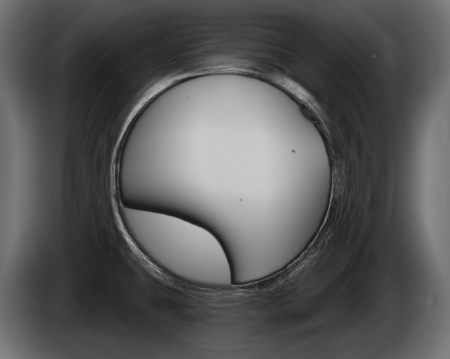X0000085041431200703051016