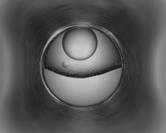 X0000085041432200703051016
