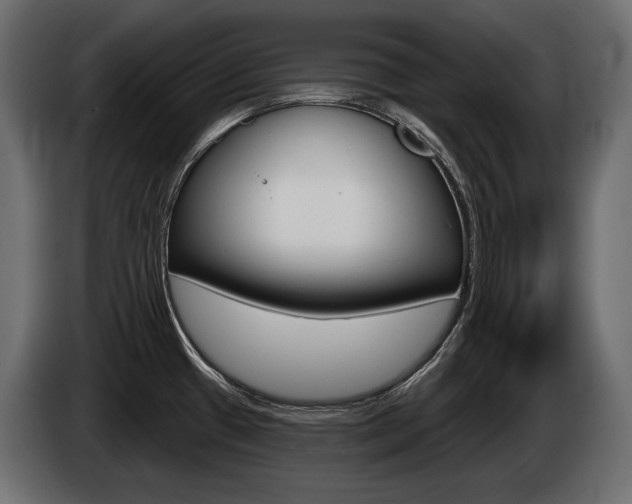 X0000085041433200703051016