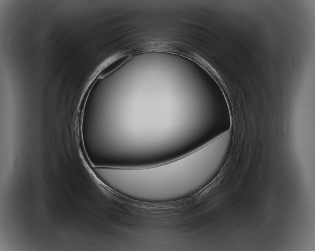 X0000085041434200703051016