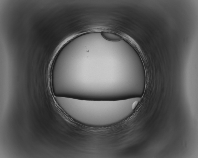 X0000085041435200703051016