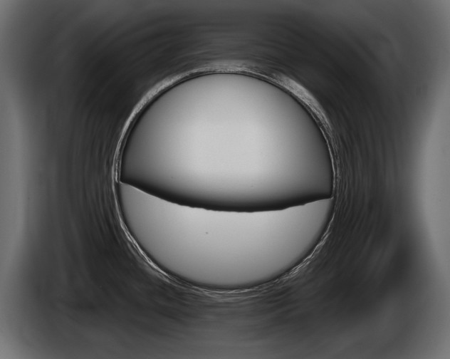 X0000085041436200703051016