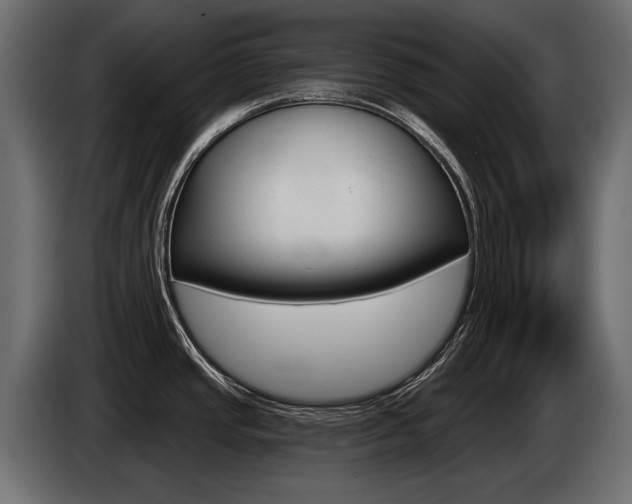X0000085041437200703051016