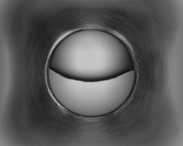 X0000085041440200703051017