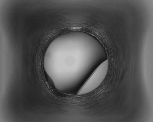 X0000085041441200703051016