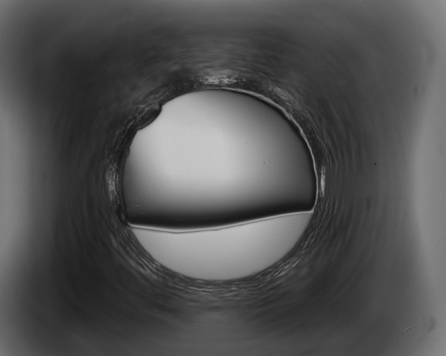 X0000085041444200703051016
