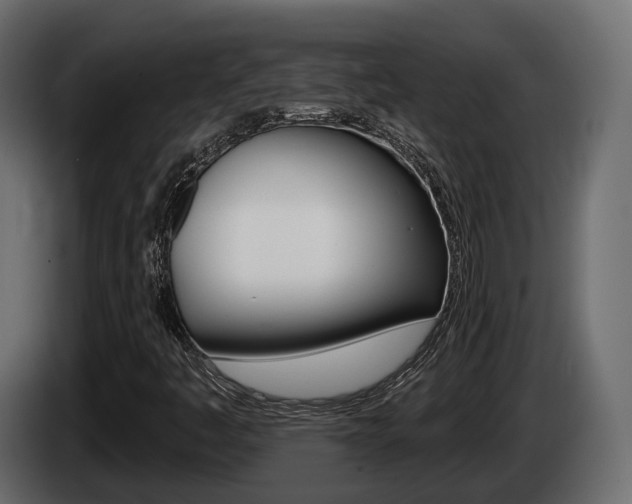 X0000085041445200703051016