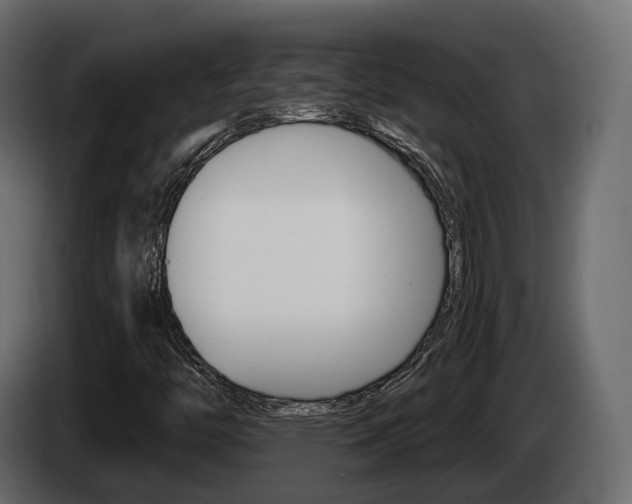 X0000085041446200703051016