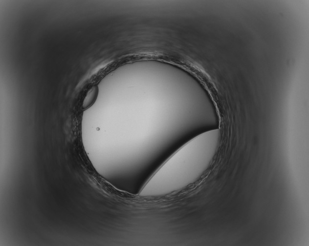 X0000085041448200703051016