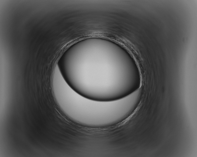 X0000085041449200703051016