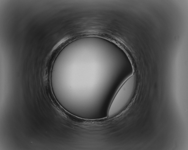 X0000085041450200703051016