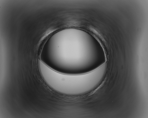 X0000085041453200703051016