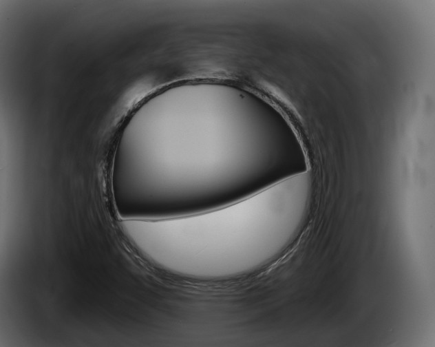 X0000085041455200703051016