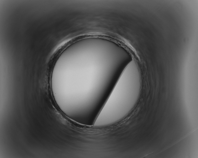 X0000085041456200703051016
