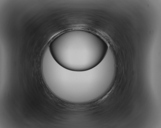 X0000085041457200703051016