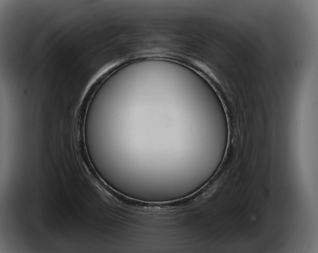 X0000085041458200703051016