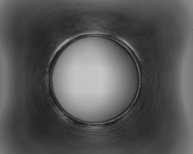 X0000085041460200703051016