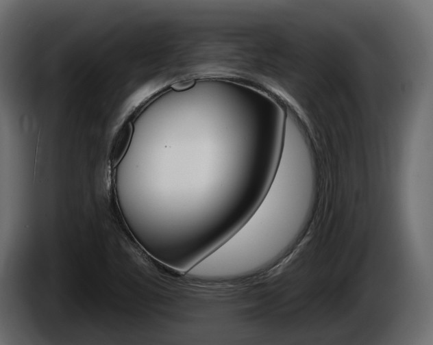 X0000085041461200703051016