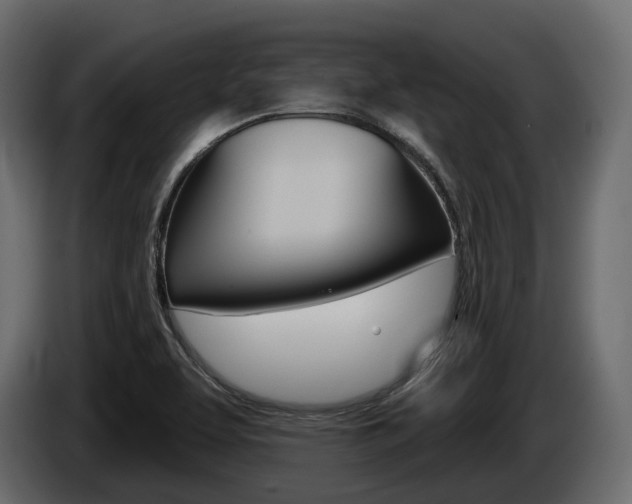 X0000085041463200703051016