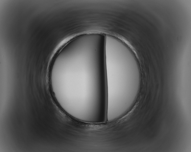 X0000085041469200703051016