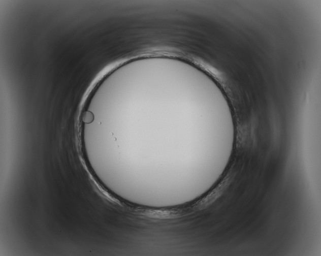 X0000085041470200703051016