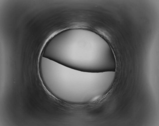 X0000085041471200703051016