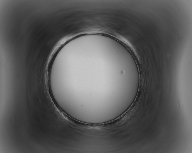 X0000085041472200703051016